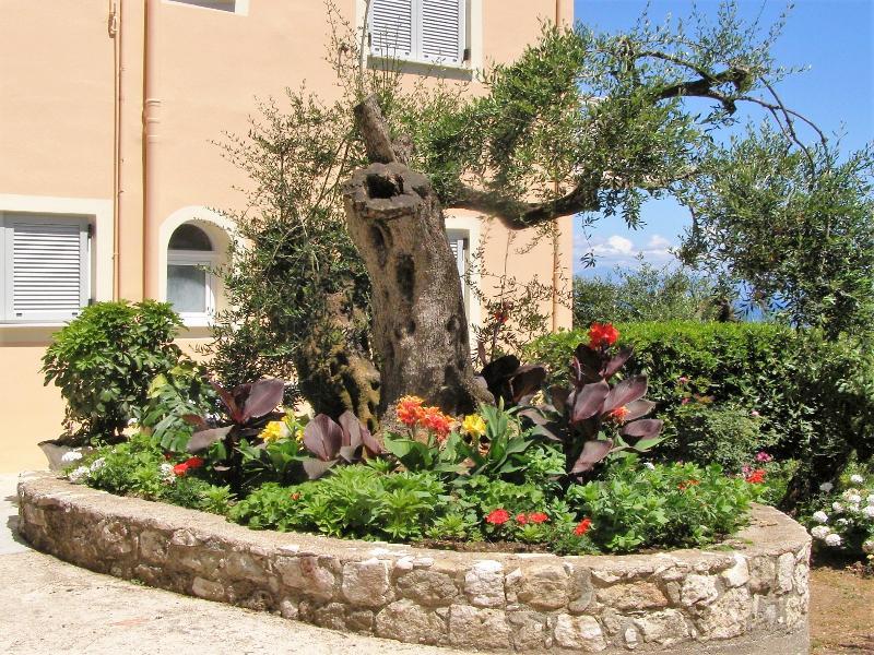 Apostolos & Eleni Family Apartments بيراما المظهر الخارجي الصورة