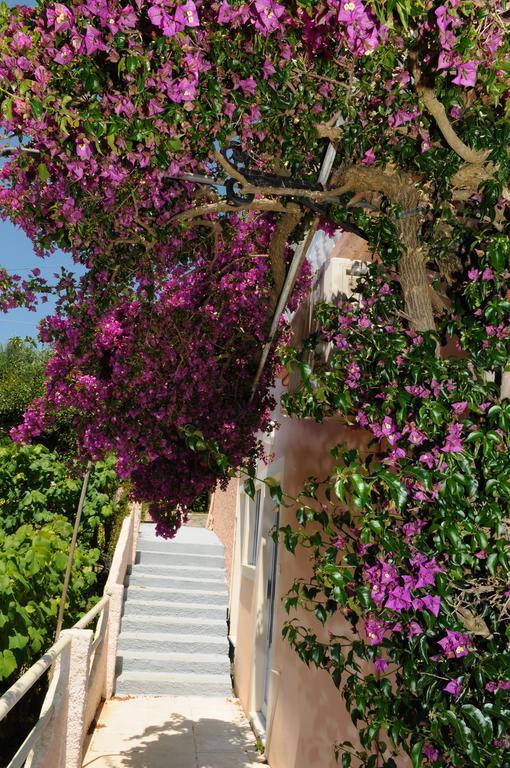 Apostolos & Eleni Family Apartments بيراما المظهر الخارجي الصورة