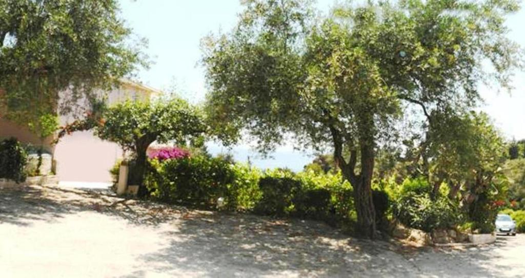 Apostolos & Eleni Family Apartments بيراما المظهر الخارجي الصورة